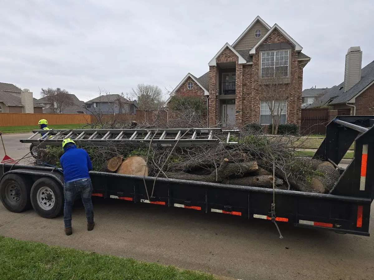 Expert Lot Clearing with proper safety equipment in Alpine